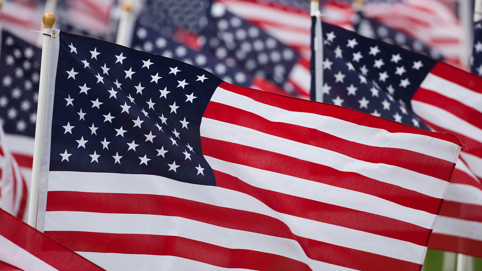 Row of American Flags