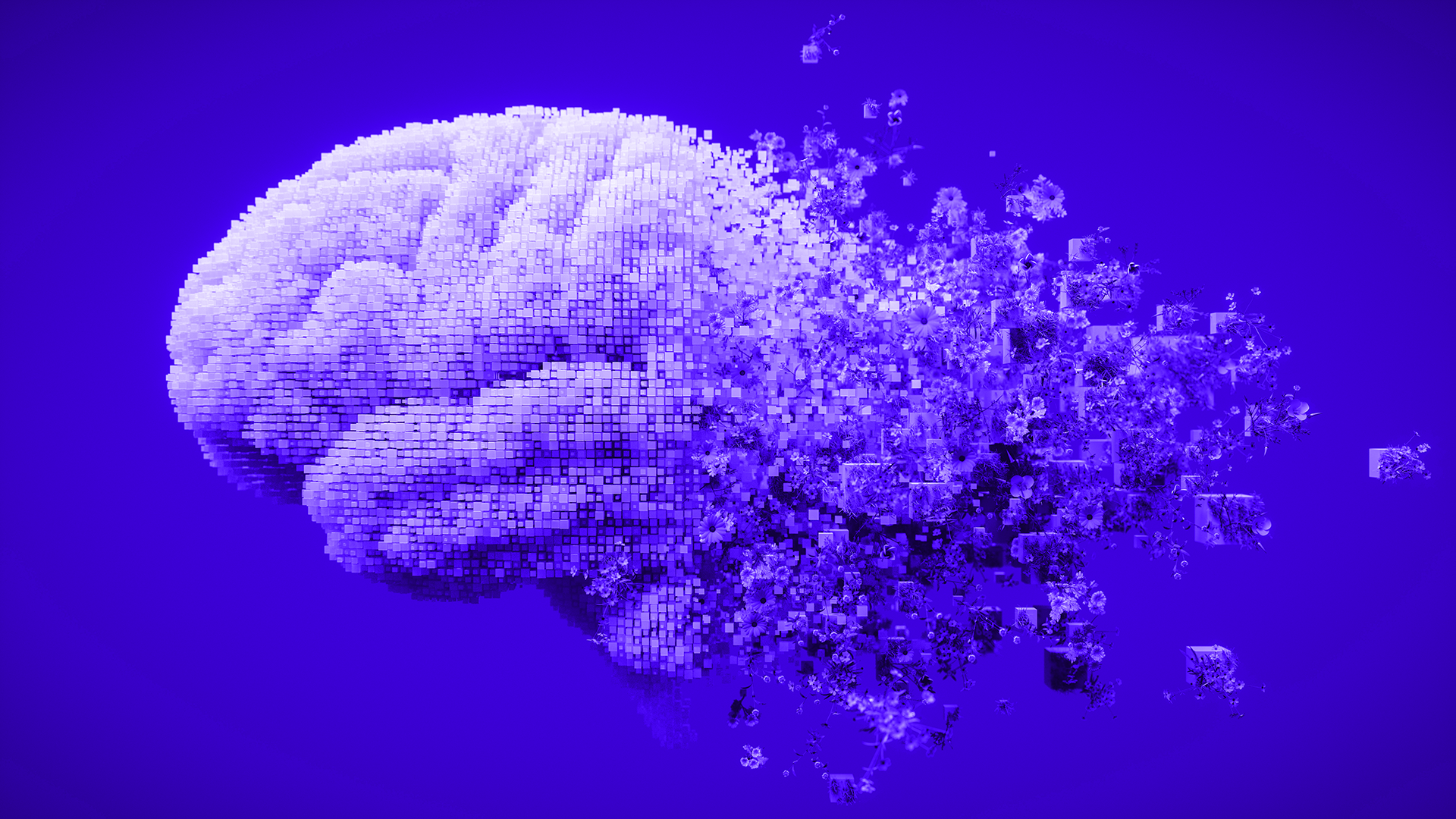 Graphic of a human brain being digitized